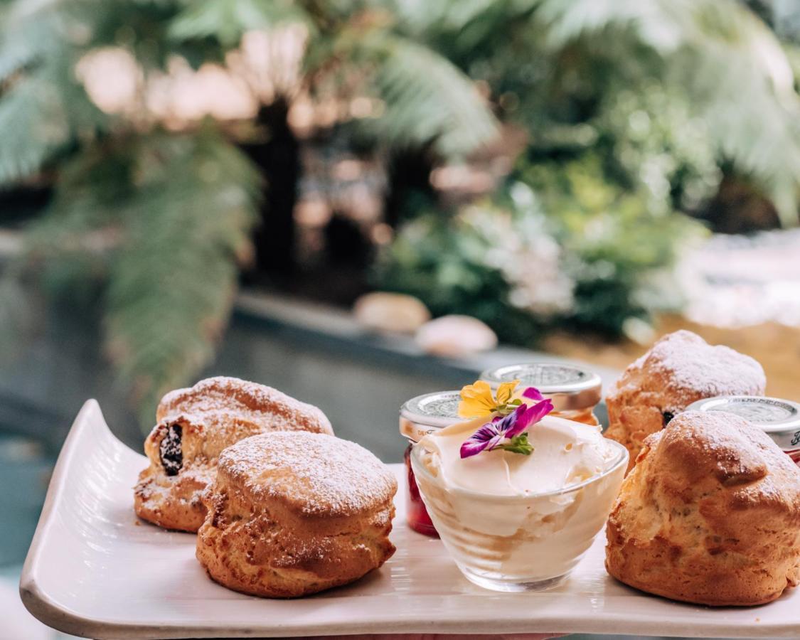 Sanderson Londra Exterior foto Scones with jam and clotted cream